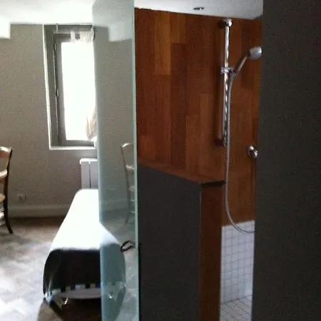 Appartements Au-Dessus Du... Strasbourg Room photo
